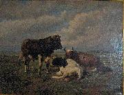 unknow artist Two cows and a bull Spain oil painting artist